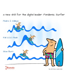 CDO Cartoon - The New role of the CDO