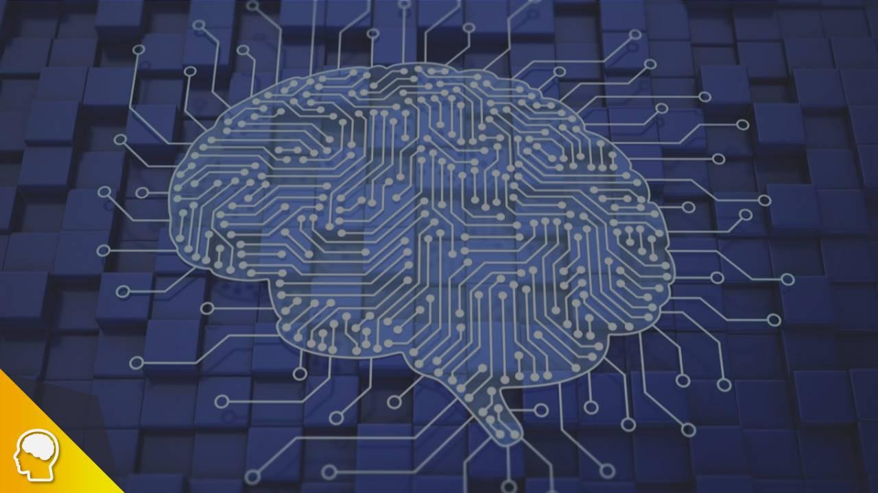 תרבות ארגונית מכוונת דאטה.